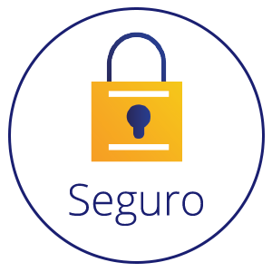 Seguro