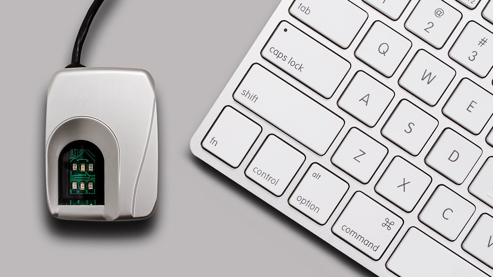 Computer mouse with a biometric chip next to a laptop keyboard. Computer mouse with a biometric chip next to a laptop keyboard.
